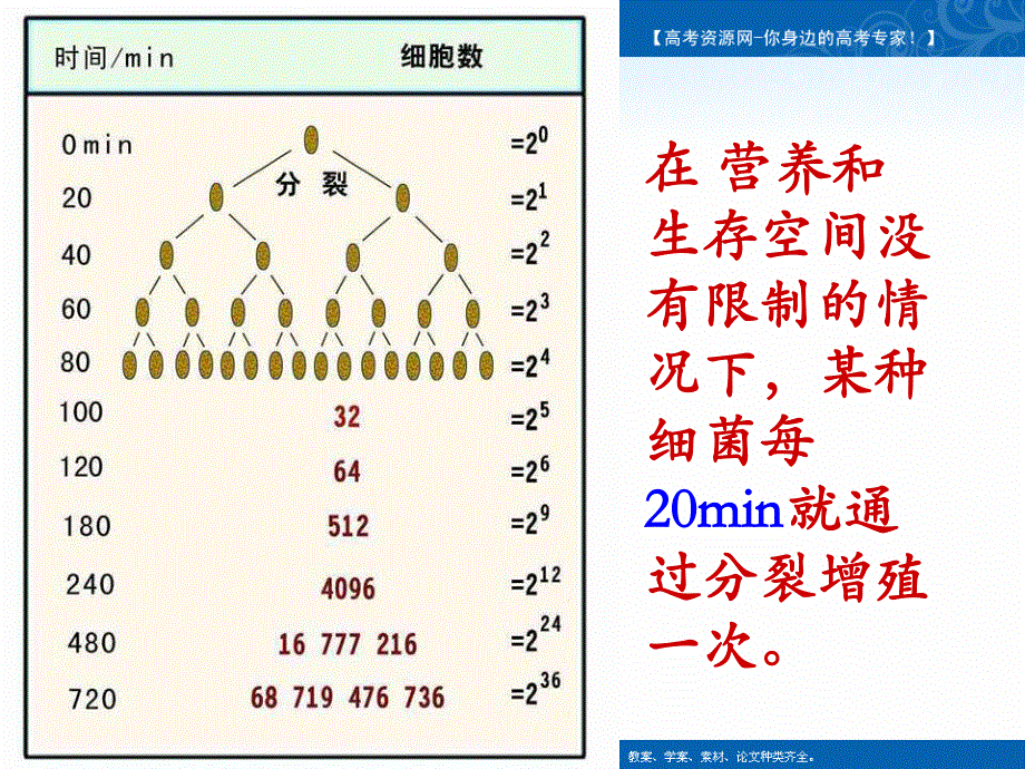 2021-2022学年高一生物人教版必修3教学课件：第四章 第2节　种群数量的变化 （3） .ppt_第2页