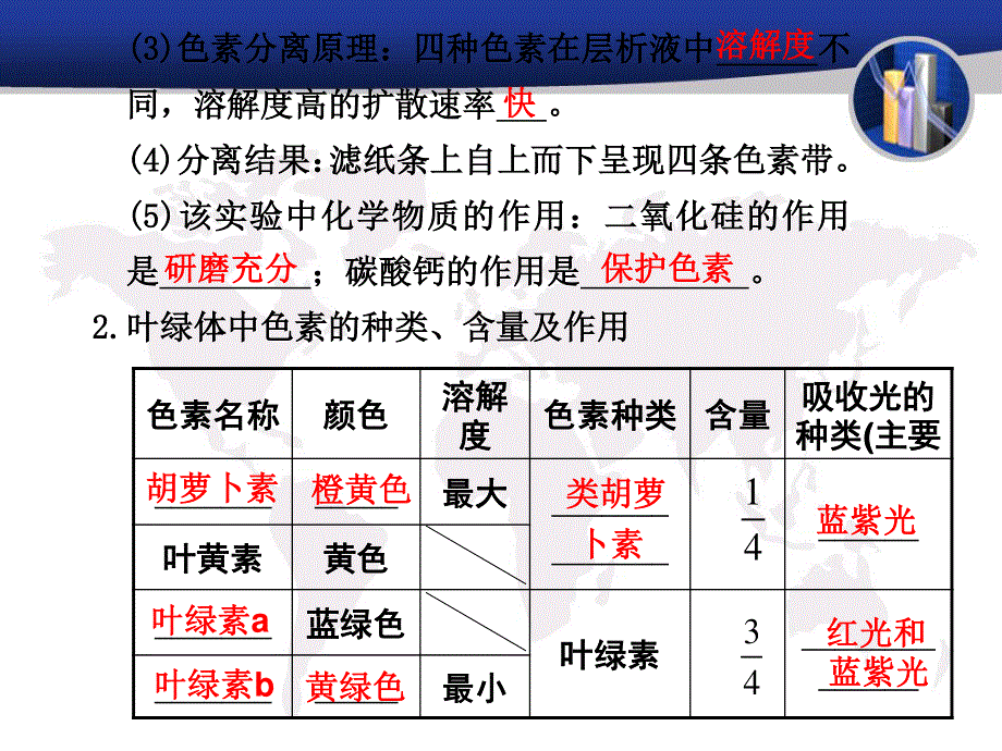 2012届高考生物第一轮单元知识点复习4.ppt_第3页