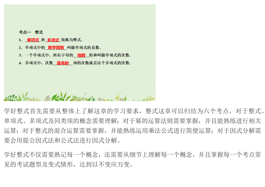 中考数学复习专题：整式中的考点.docx_第1页