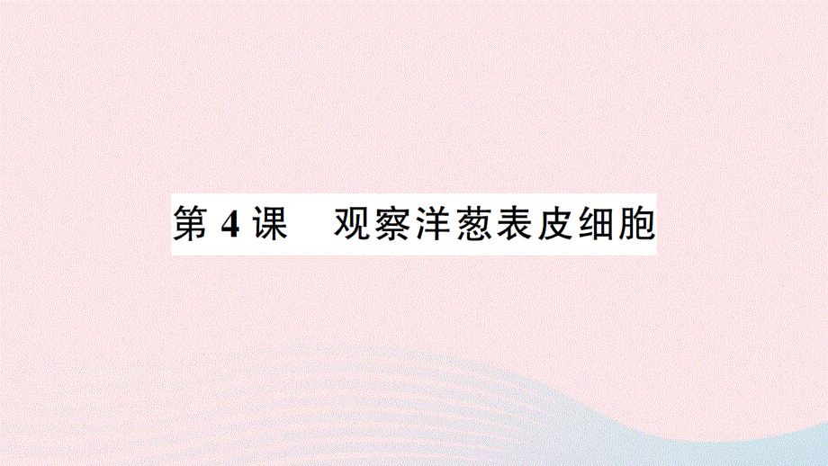 2022六年级科学上册 第一单元 微小世界第4课 观察洋葱表皮细胞作业课件 教科版.ppt_第1页