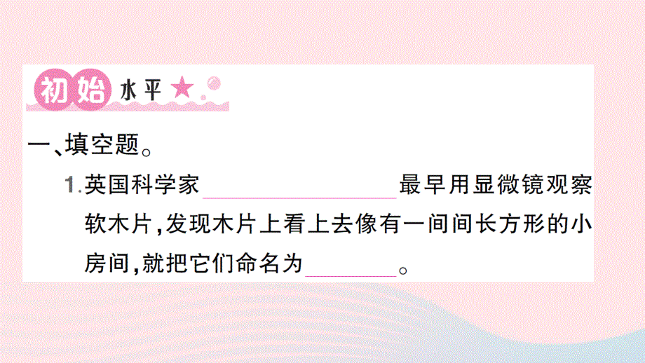 2022六年级科学上册 第一单元 微小世界第4课 观察洋葱表皮细胞作业课件 教科版.ppt_第2页