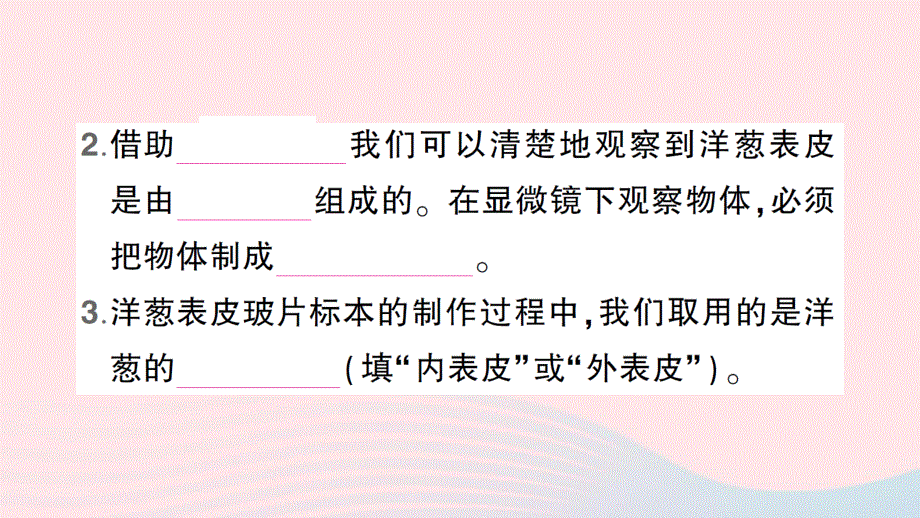 2022六年级科学上册 第一单元 微小世界第4课 观察洋葱表皮细胞作业课件 教科版.ppt_第3页