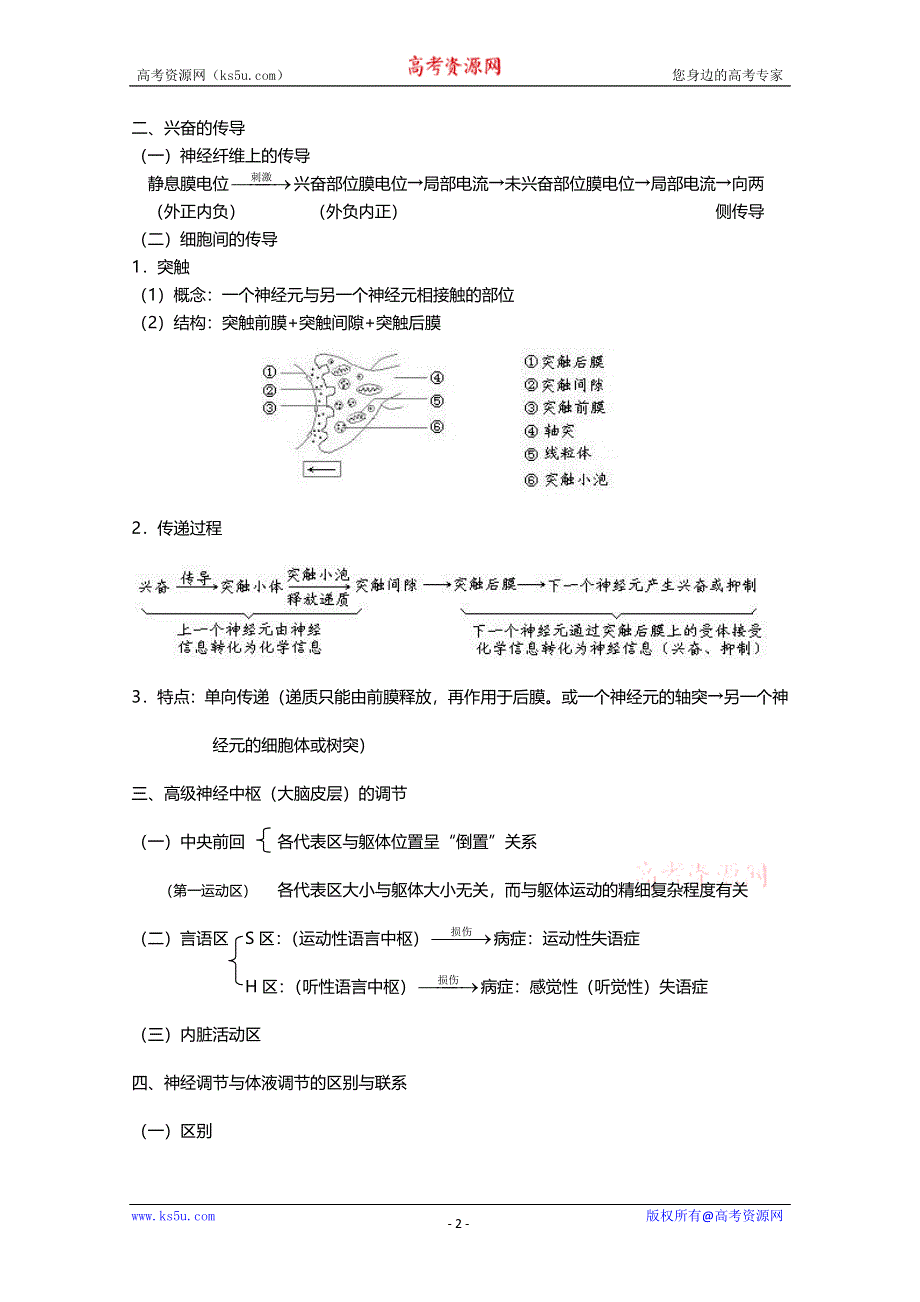 [旧人教]2012高三生物第一轮复习教案4、生命活动的调节2-2人和高等动物生命活动的调节之神经调节.doc_第2页