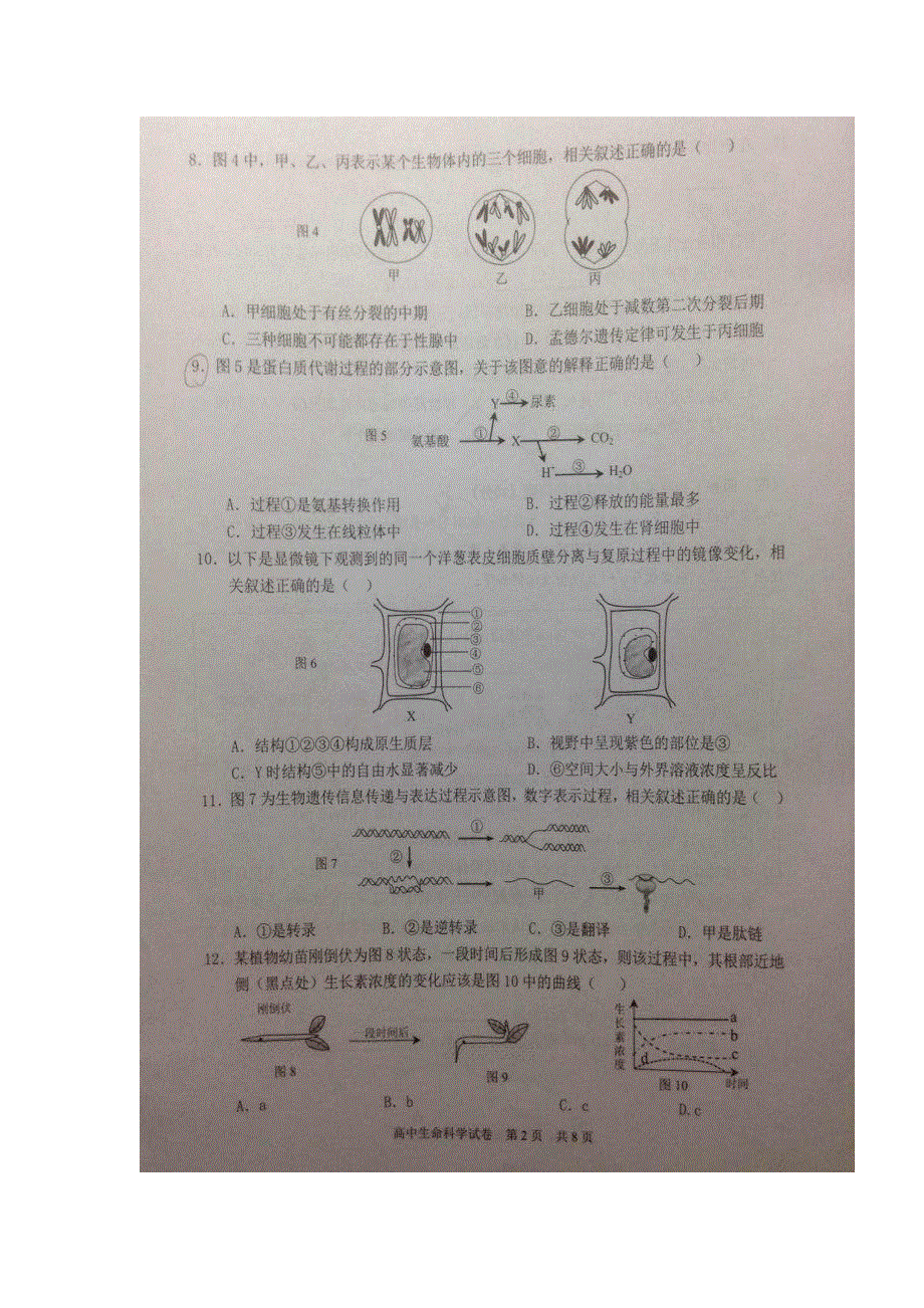 上海市静安区2017届高三下学期期中考试（二模）生物试题 扫描版缺答案.doc_第2页