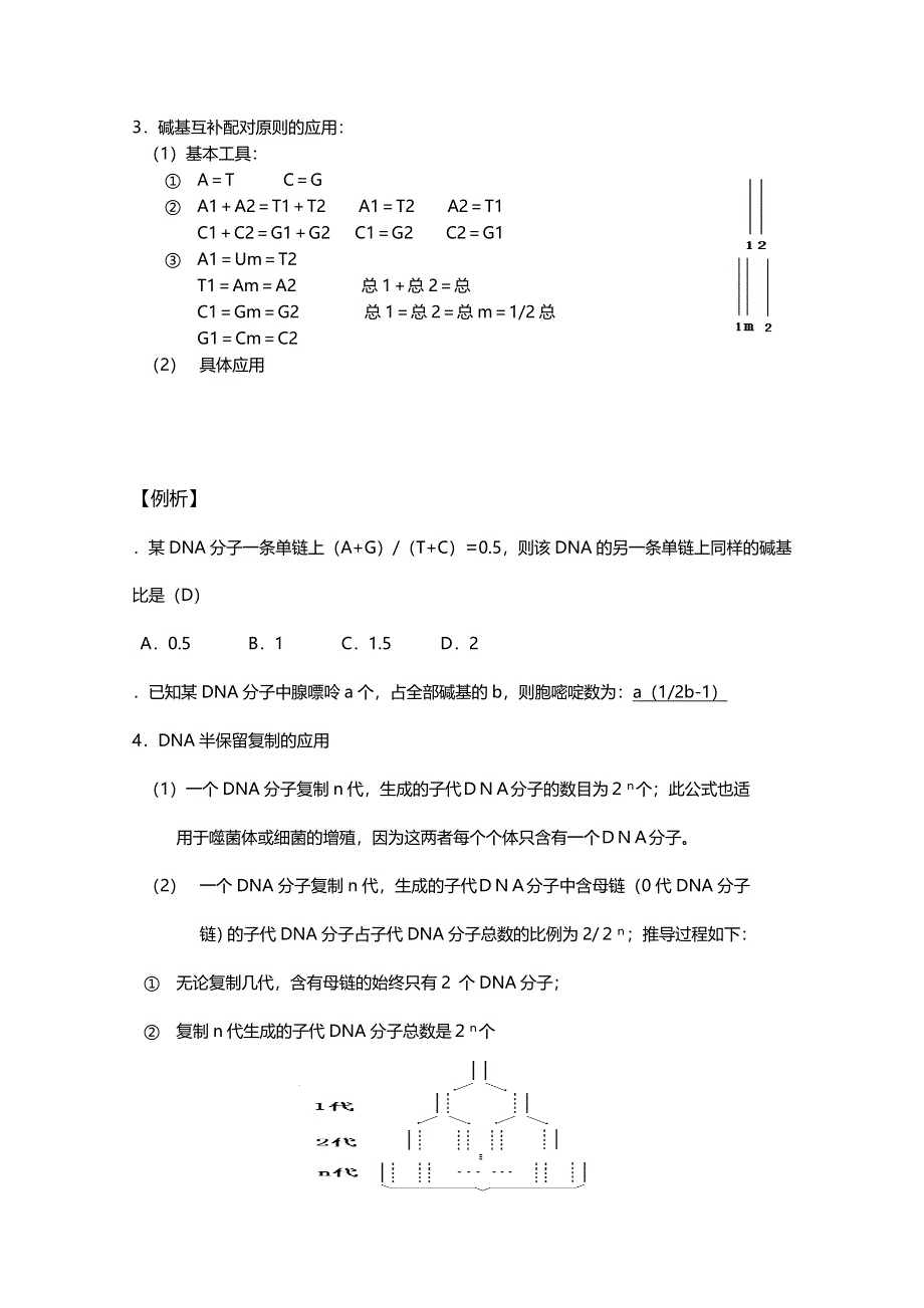 [旧人教]2012高三生物第一轮复习教案6、遗传和变异1-2遗传的物质基础之DNA分子的结构和复制.doc_第3页