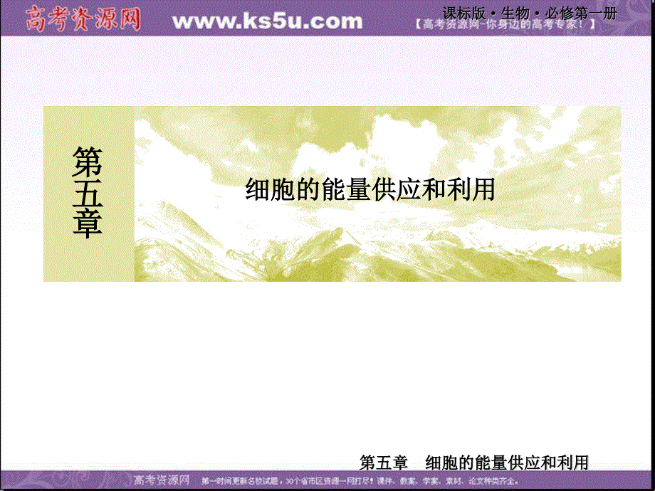 2019-2020学年新教材课标版生物必修一教学课件：5-4-1捕获光能的色素和结构 .ppt_第1页