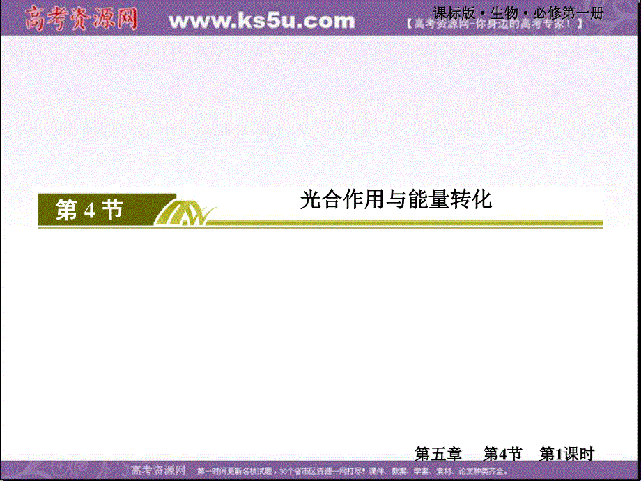 2019-2020学年新教材课标版生物必修一教学课件：5-4-1捕获光能的色素和结构 .ppt_第2页