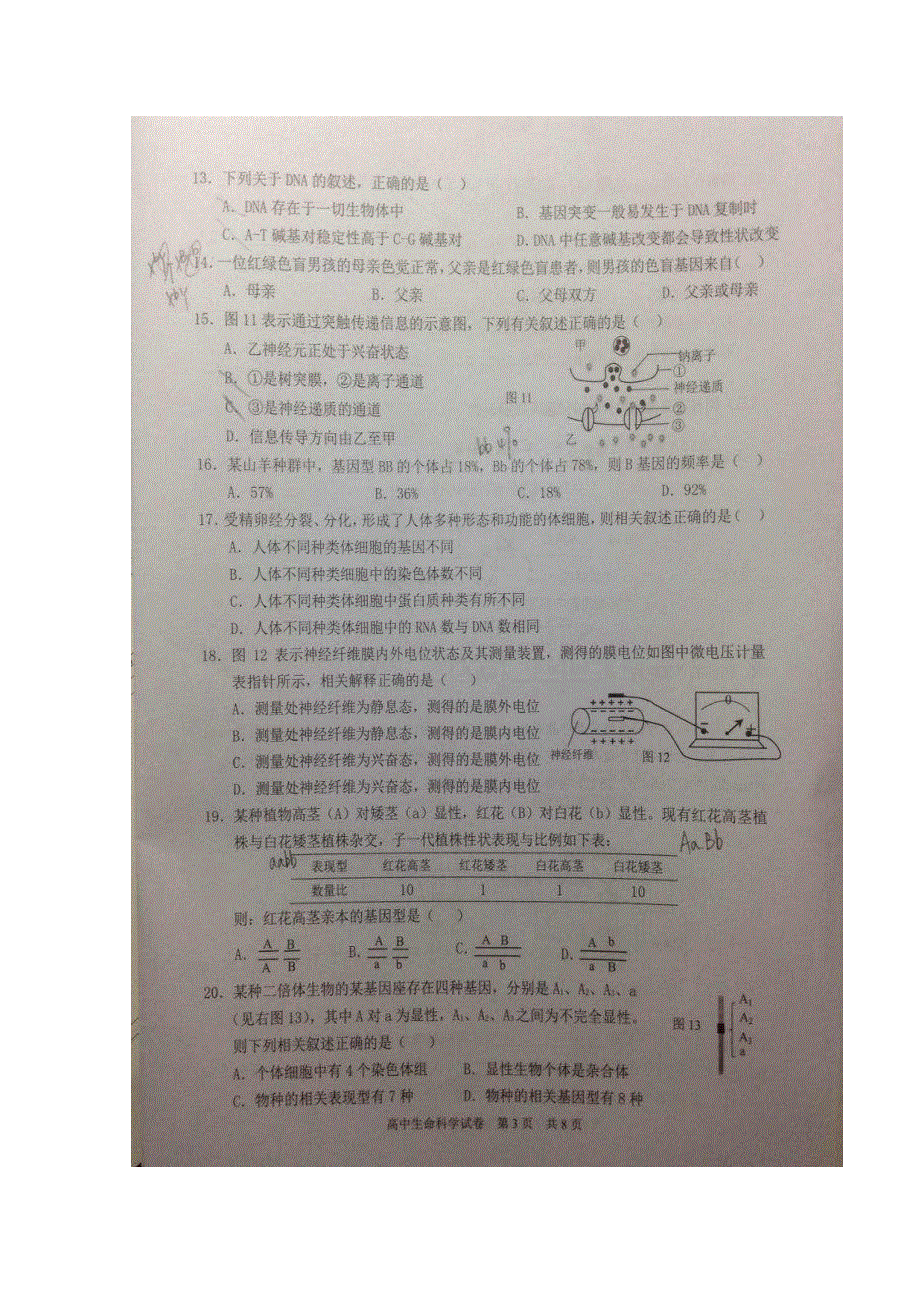 上海市静安区2017届高三4月教学质量检测（二模）生物试题 扫描版含答案.doc_第3页