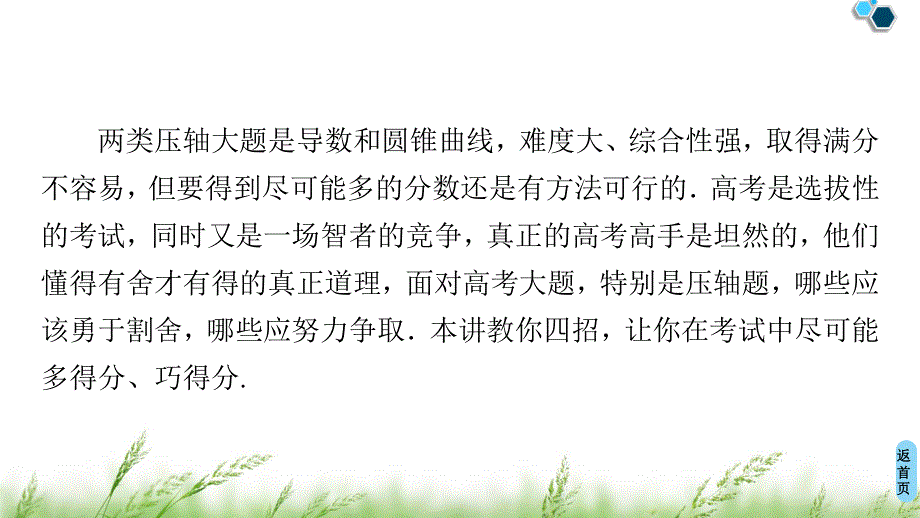 2020新课标高考理科数学二轮复习课件：第3部分 策略3 活用4招巧解压轴解答题 .ppt_第2页