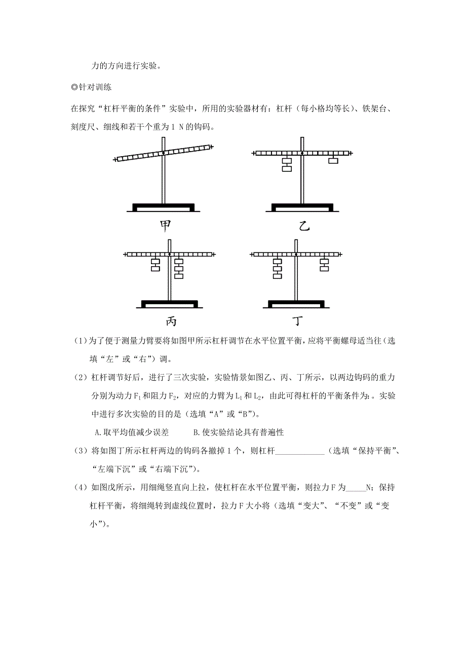 中考物理 实验专题突破针对训练 实验18 探究杠杆平衡的条件.docx_第3页