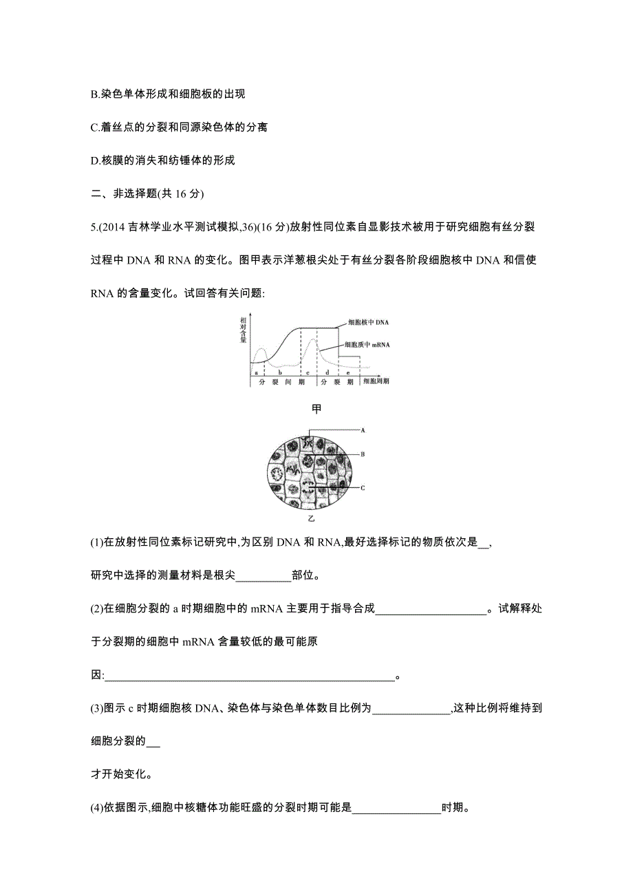 2016届人教版新课标高三生物一轮复习文档 第3单元 细胞的生命历程 第9讲 细胞的增殖 2年模拟.docx_第2页