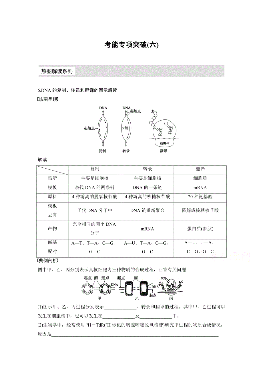 2016届《步步高》高考生物大一轮总复习（苏教版文科） 第六单元 遗传的分子基础 考能专项突破(六).docx_第1页