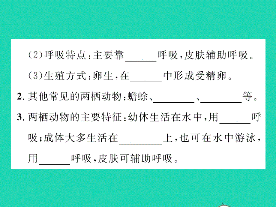 八年级生物上册 第五单元 生物圈中的其他生物第一章 动物的主要类群第五节 两栖动物和爬行动物习题课件（新版）新人教版.pptx_第3页