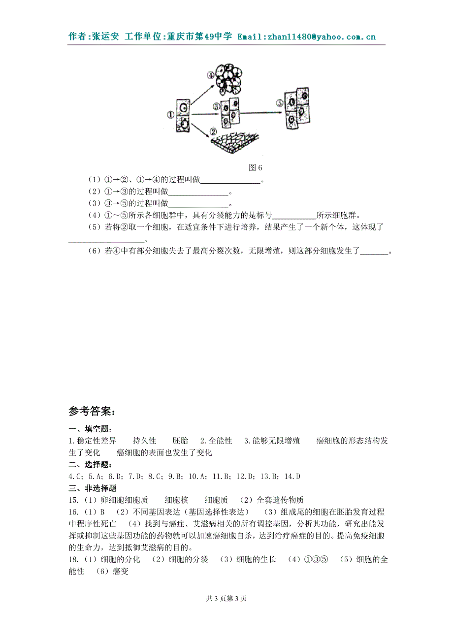 2.3《细胞的分化、癌变和衰老》试题1（旧人教第一册）.doc_第3页