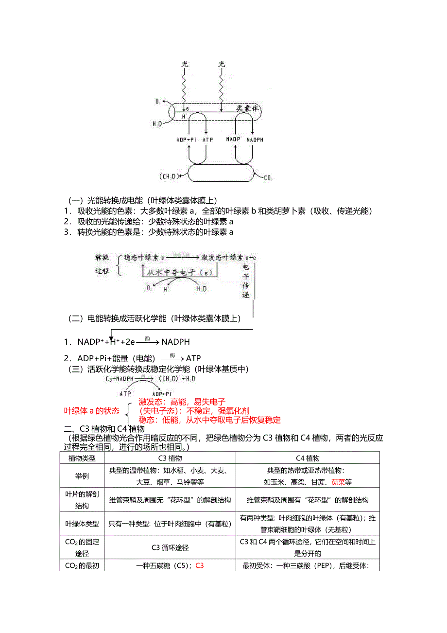 [旧人教]2012高三生物第一轮复习教案选修2、光合作用与生物固氮1、光合作用.doc_第2页