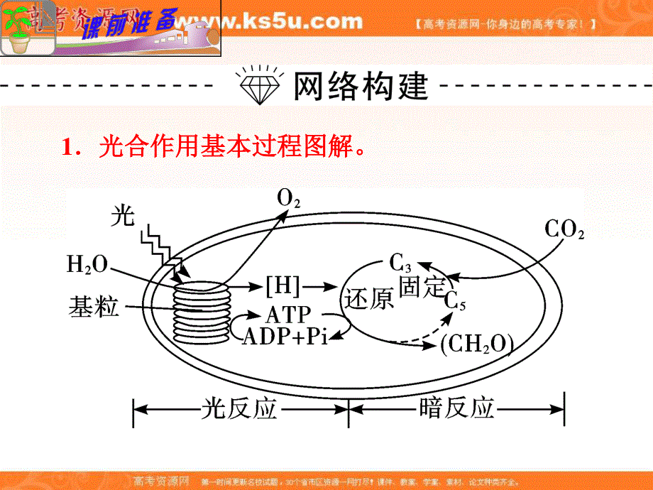 2012届高考新课标生物二轮总复习（湖南版）课件：专题2 小专题05 光合作用的基本原理及应用（人教版）.ppt_第3页