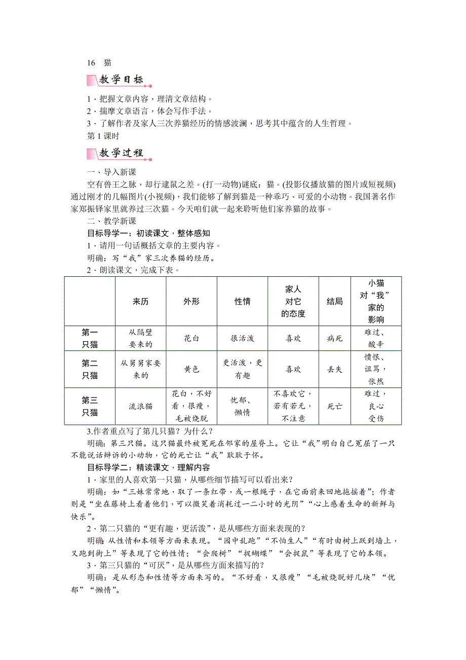 16猫教案2.doc_第1页