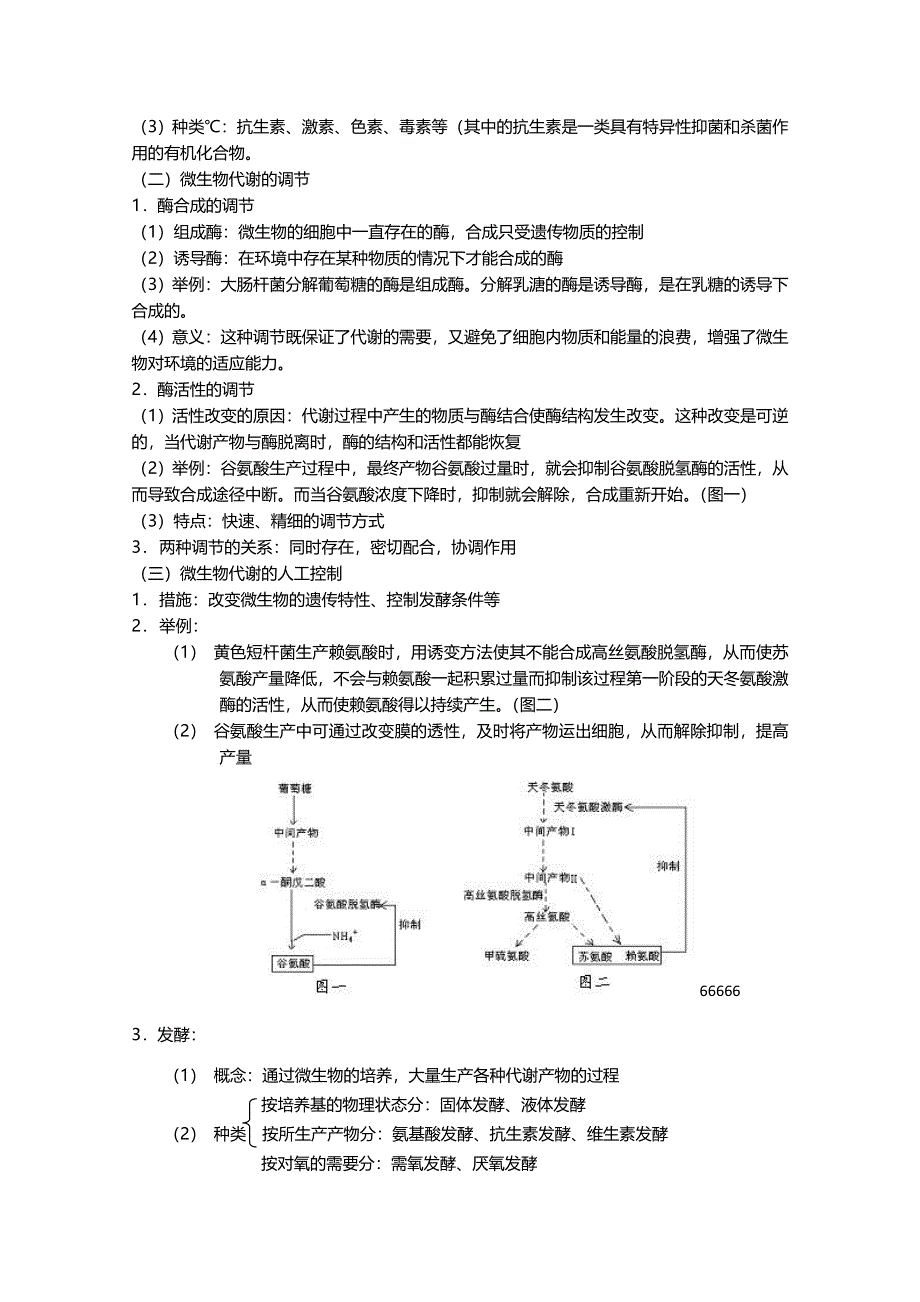 [旧人教]2012高三生物第一轮复习教案选修5、微生物与发酵工程2-2微生物的代谢.doc_第2页