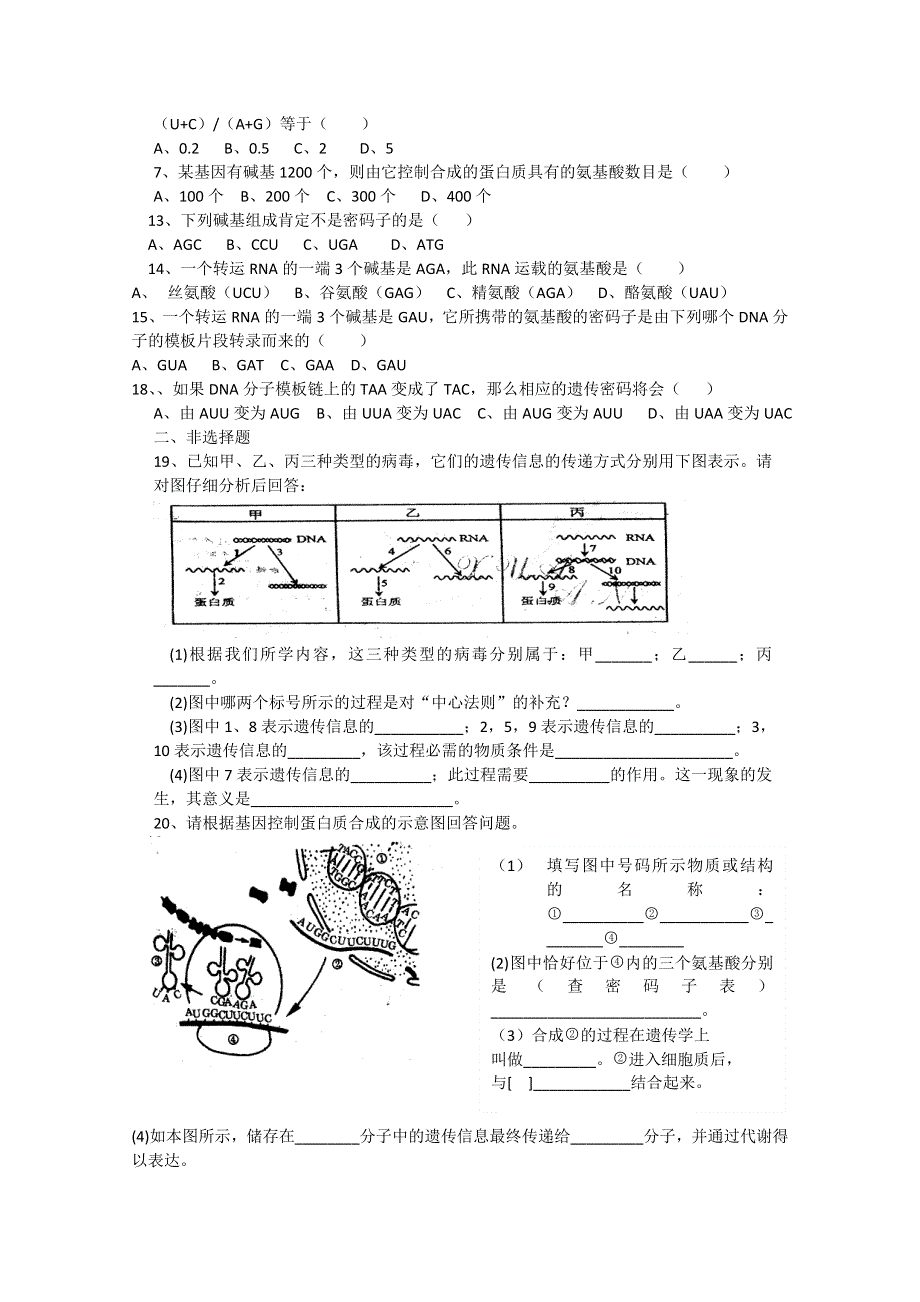 [旧人教]高中生物第一册第六章训练第一节三基因的表达（第二课时）.doc_第3页