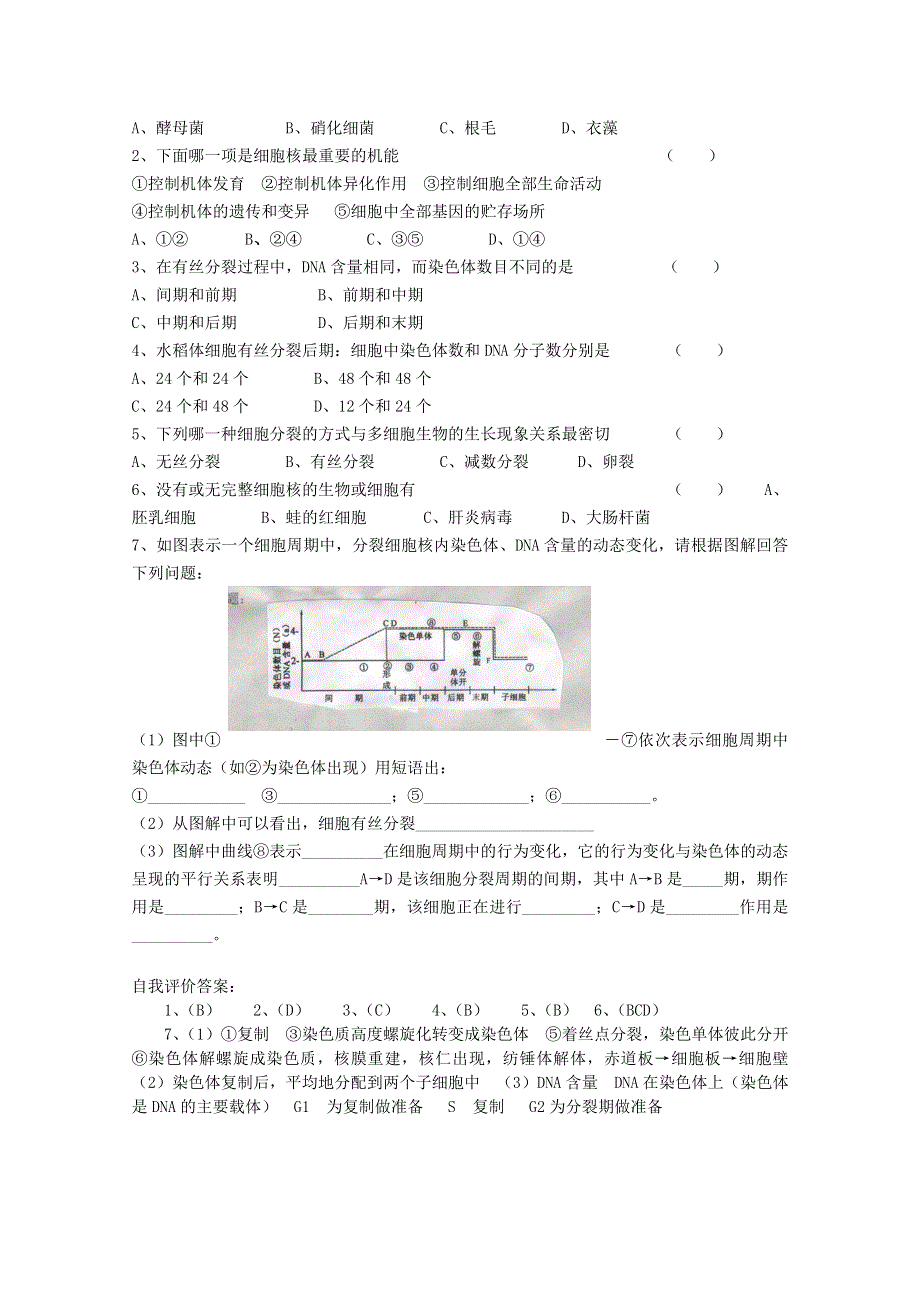 [旧人教]高中生物第一册教学案第8课时 细胞核的结构和功能.doc_第2页