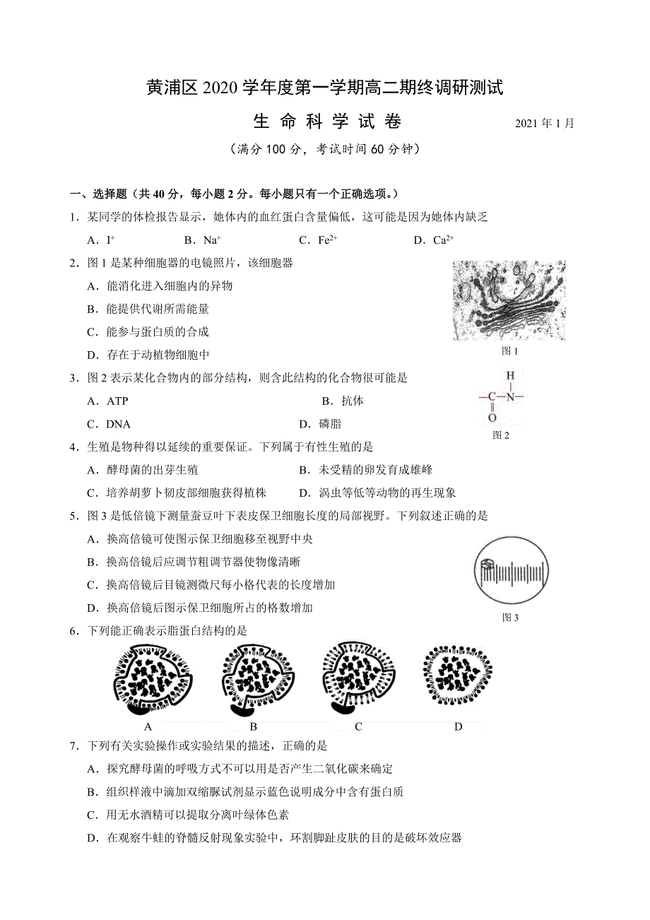 上海市黄浦区2020-2021学年高二上学期期末考试生物试题 WORD版含答案.doc_第1页