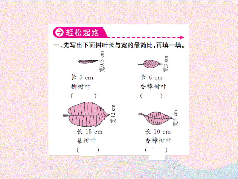 2022六年级数学上册 第三单元 分数除法(树叶中的比)习题课件 苏教版.ppt_第2页