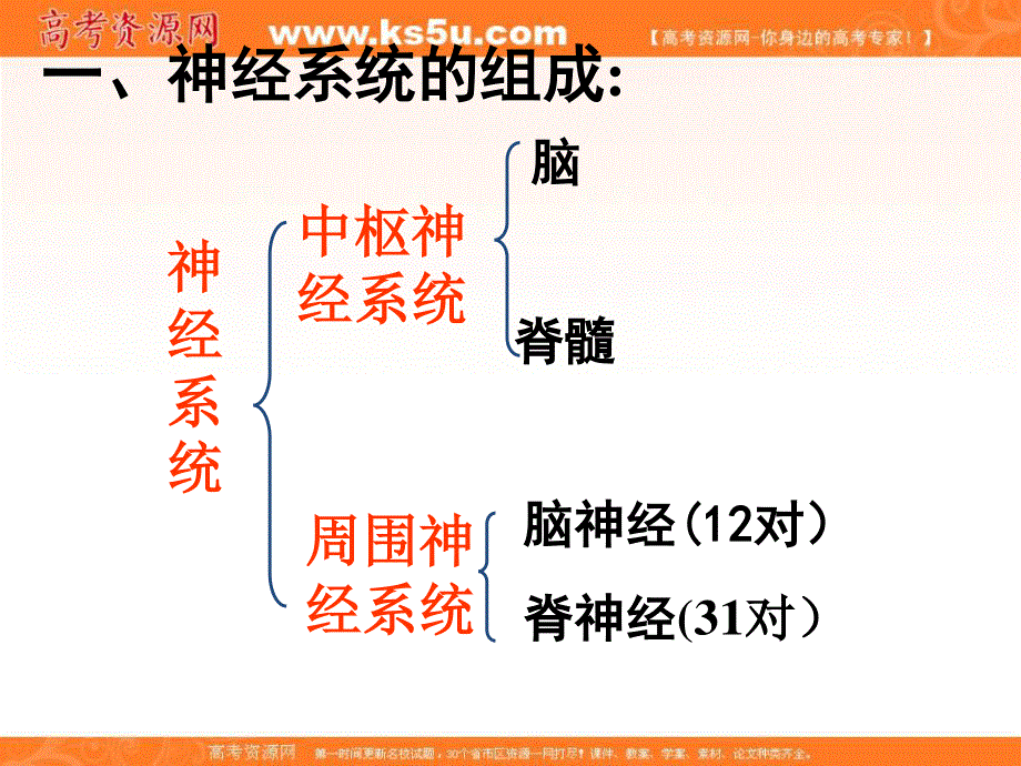 2017沪科版高中生物第二册5-2《神经系统中信息的传递和调节》课件2 （共22张PPT） .ppt_第2页