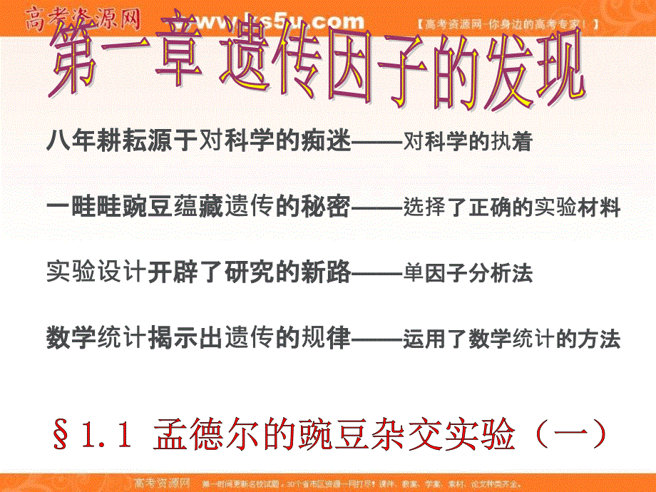 人教版高中生物必修1课件：《1.1孟德尔的豌豆杂交实验 公开课版》（共51张PPT）.ppt_第2页