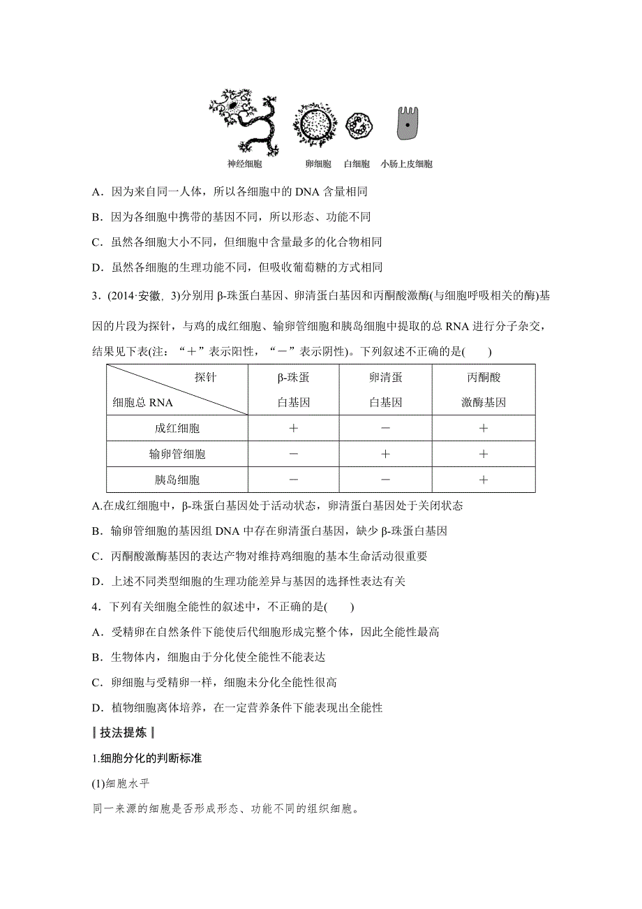 2016版高考生物（全国专用）二轮复习配套讲义：专题3 必考点10“生命有序”的细胞历程 WORD版.docx_第3页