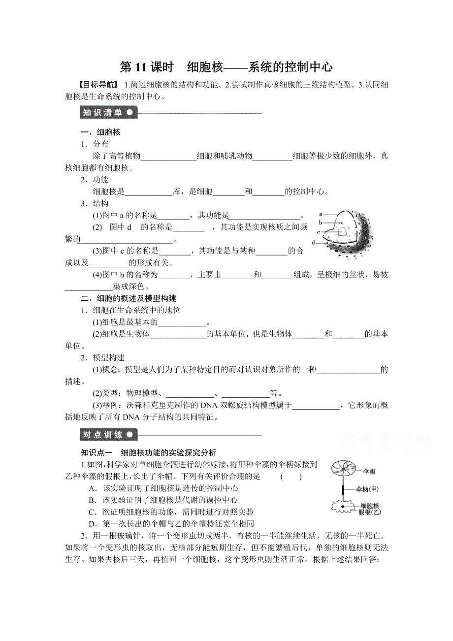 《 同步课堂》2016届高考生物一轮复习基础过关训练 第三章细胞的基本结构（课时作业）课时11 .doc_第1页