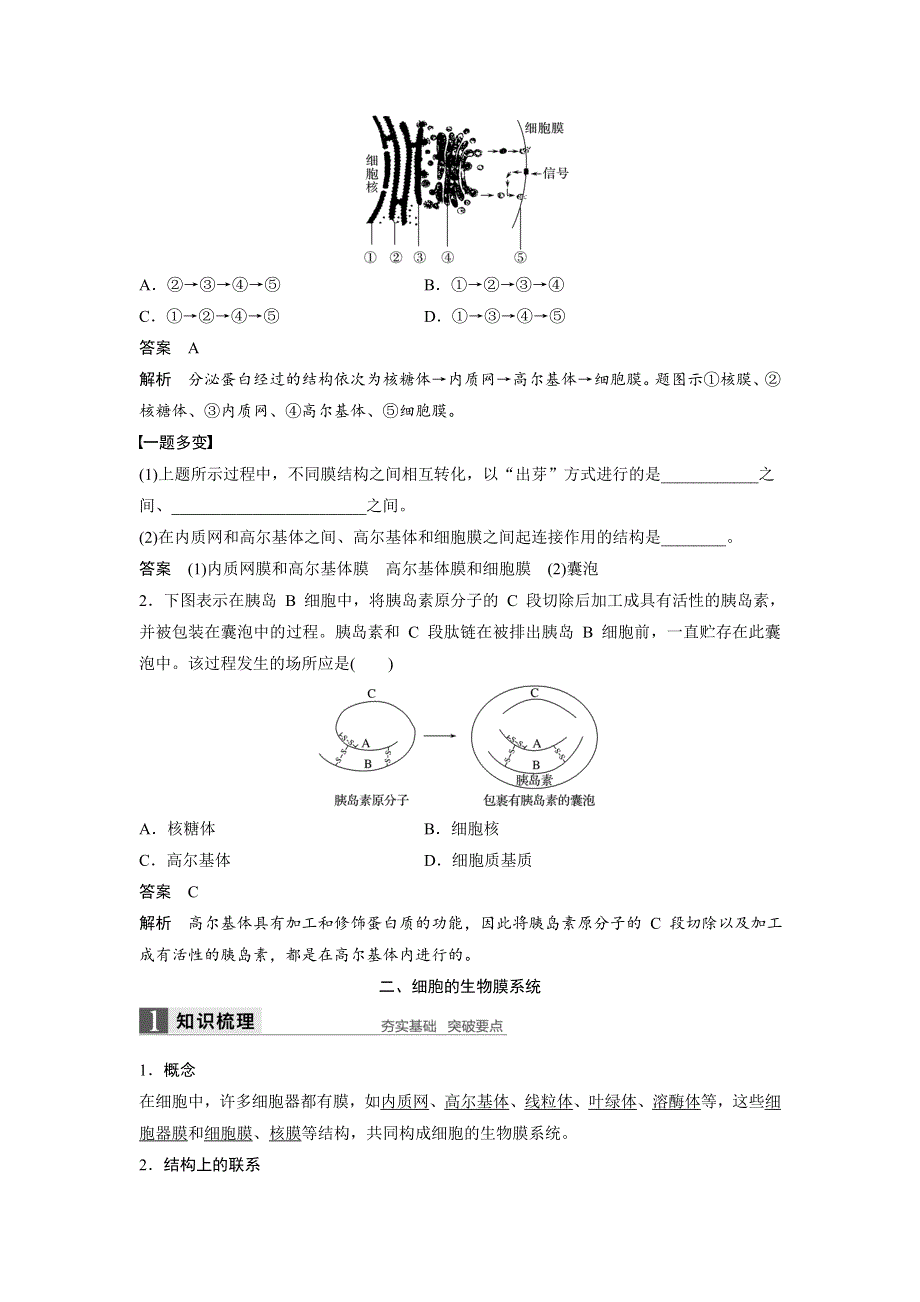 《 学案导学》2016-2017学年高中人教版生物必修一配套文档：第3章 第2节 第2课时 细胞器之间的协调配合 WORD版含解析.doc_第3页