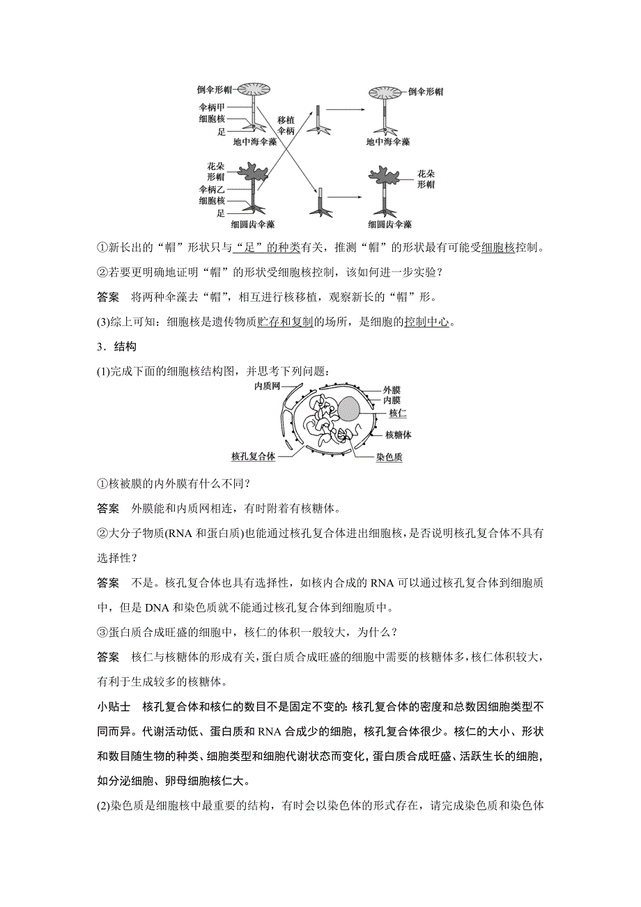 2016生物浙科版必修1学案：第二章 10 细胞核　原核细胞 WORD版含解析.docx_第2页