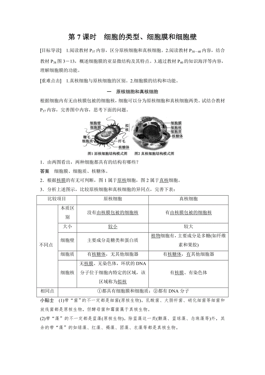 2016生物苏教版必修1文档：第三章 第7课时 细胞的类型、细胞膜和细胞壁 WORD版含解析.docx_第1页