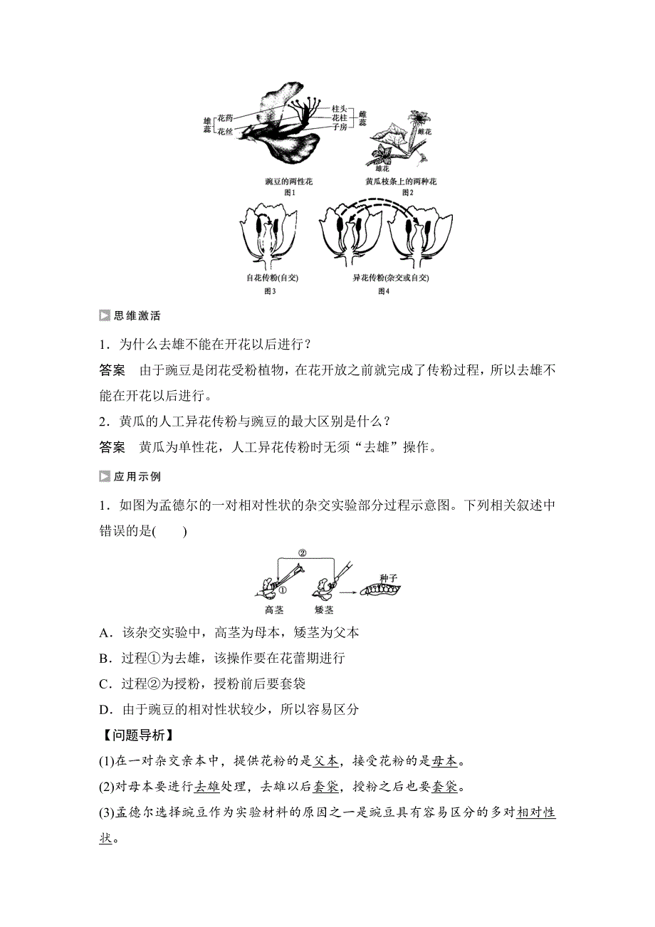 《 学案导学与随堂笔记》2015-2016学年高中生物（苏教版必修二）学案文档：第三章 第一节 基因的分离定律（Ⅰ） .doc_第3页