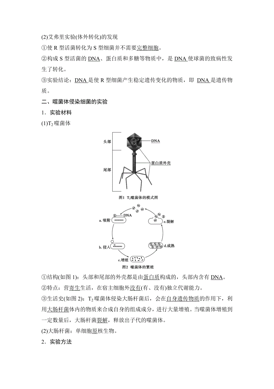 《 学案导学与随堂笔记》2015-2016学年高中生物（苏教版必修二）学案文档：第四章 第一节 第一课时 探索遗传物质的过程 .doc_第2页