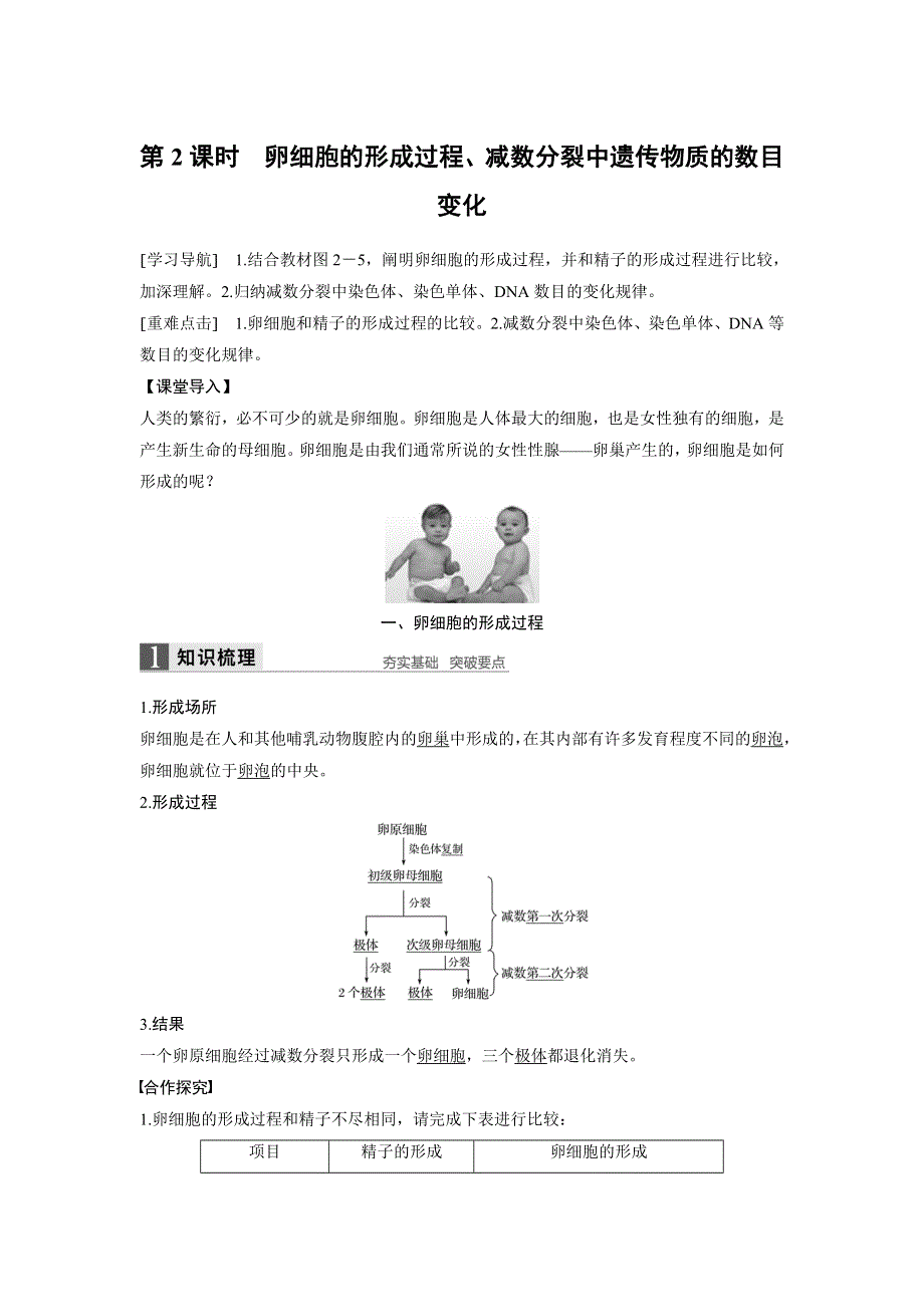 《 学案导学》2016-2017学年高中人教版生物必修二配套文档：第2章 第1节 第2课时 卵细胞的形成过程、减数分裂中遗传物质的数目变化 WORD版含解析.doc_第1页