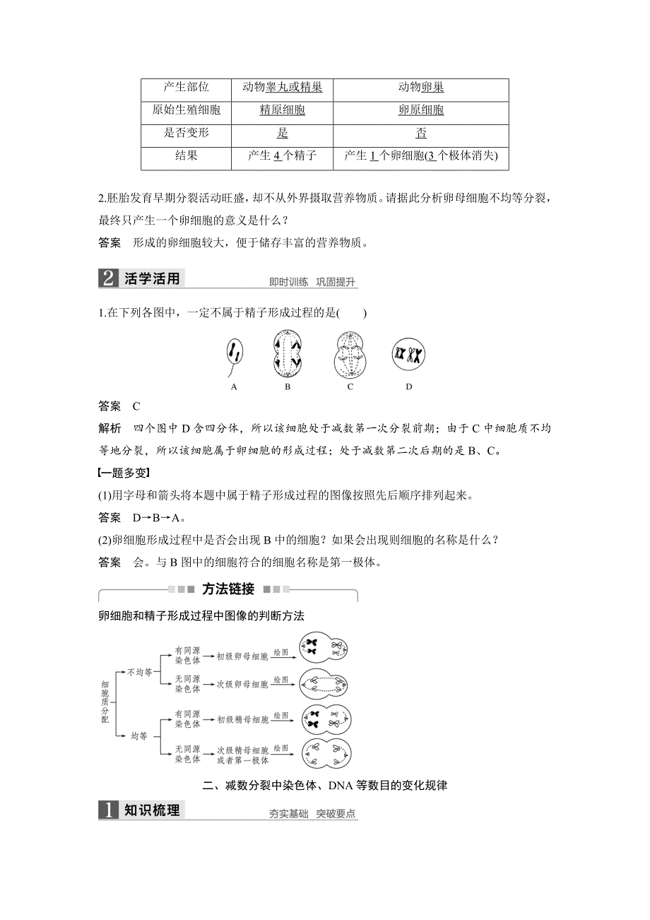 《 学案导学》2016-2017学年高中人教版生物必修二配套文档：第2章 第1节 第2课时 卵细胞的形成过程、减数分裂中遗传物质的数目变化 WORD版含解析.doc_第2页