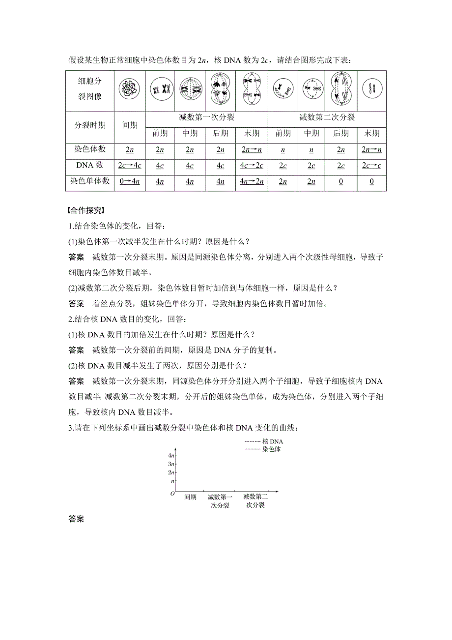 《 学案导学》2016-2017学年高中人教版生物必修二配套文档：第2章 第1节 第2课时 卵细胞的形成过程、减数分裂中遗传物质的数目变化 WORD版含解析.doc_第3页