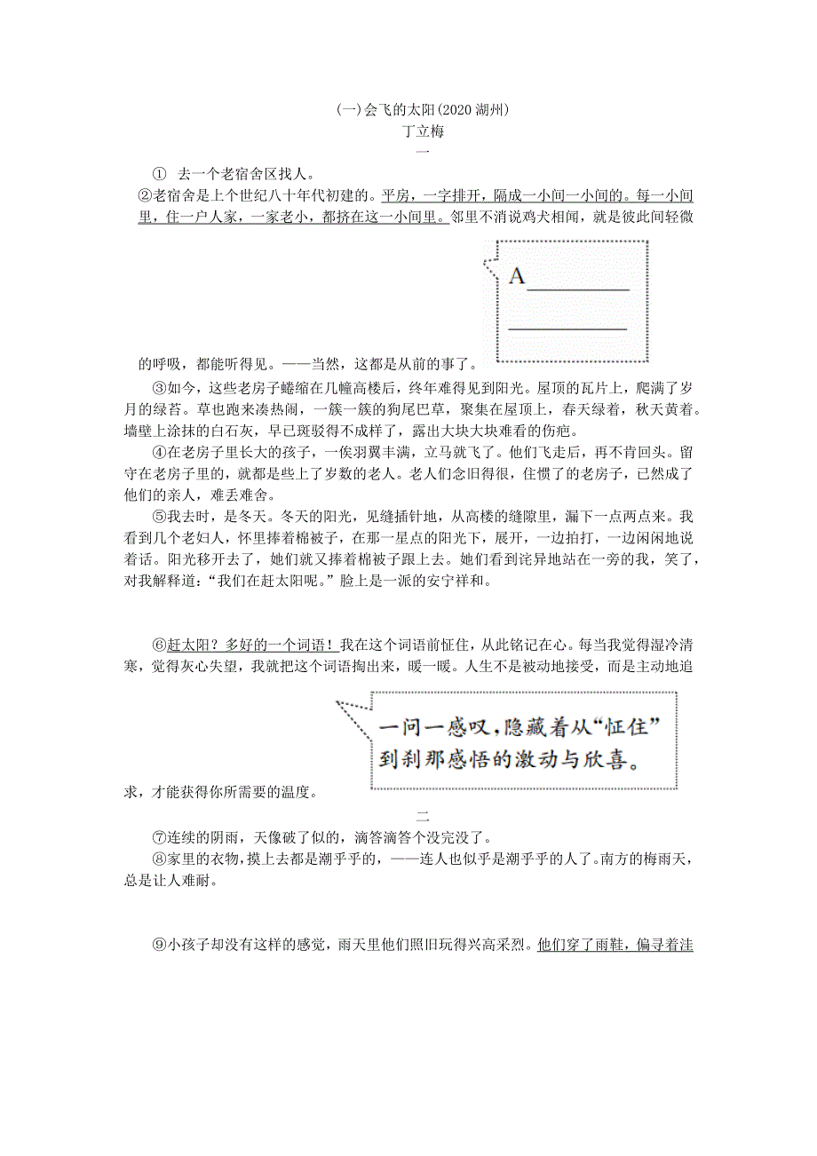 中考语文面对面 阅读 专题一 文学作品阅读 第一类 散文阅读（会飞的太阳） 新人教版.docx_第1页