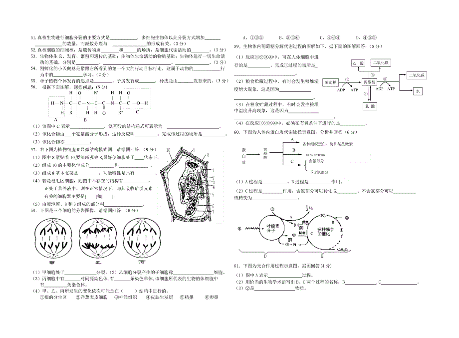 2004—2005学年度第一学期高二年段期末考试（文科）生物试题.doc_第3页