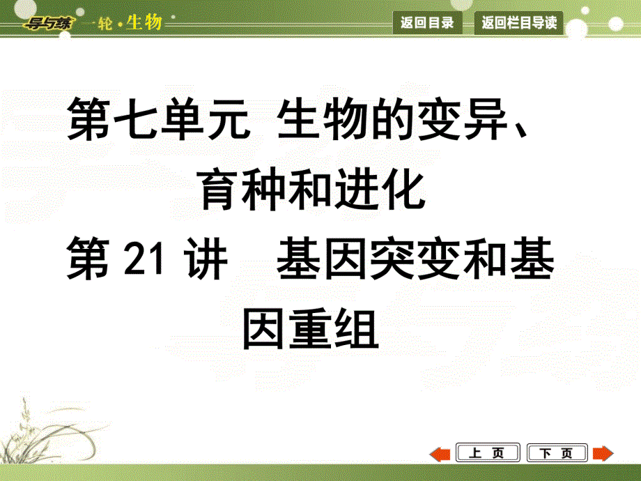 2015届高三生物一轮总复习教师用书配套课件 第21讲　基因突变和基因重组（共42张PPT）.ppt_第1页