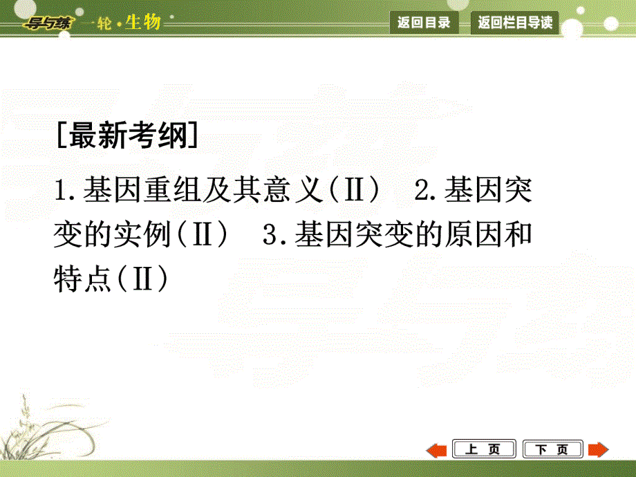 2015届高三生物一轮总复习教师用书配套课件 第21讲　基因突变和基因重组（共42张PPT）.ppt_第2页