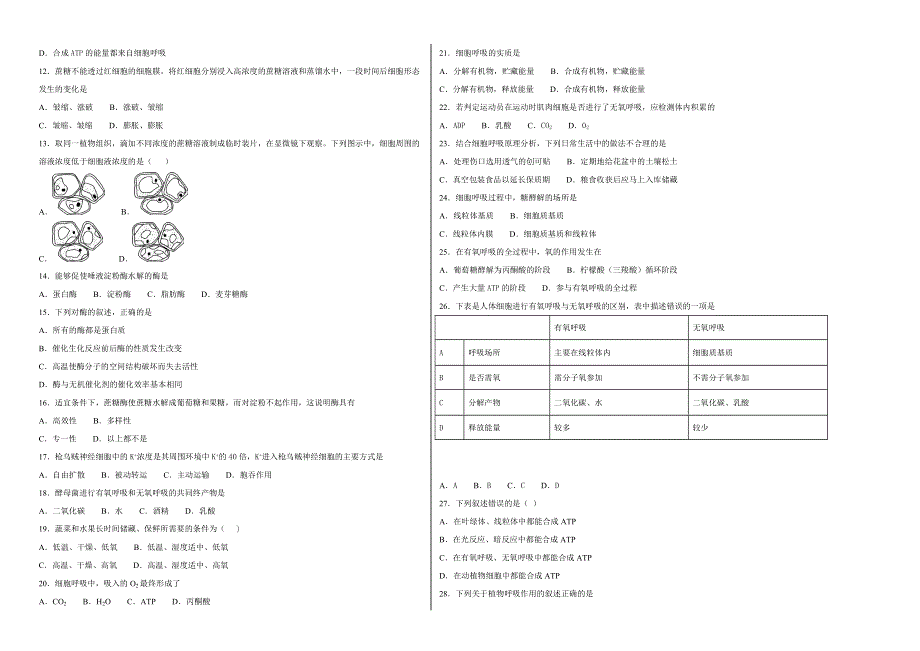 《100所名校》北京四中2018-2019学年高一年级上学期期末考试生物试卷 WORD版含解析.doc_第2页