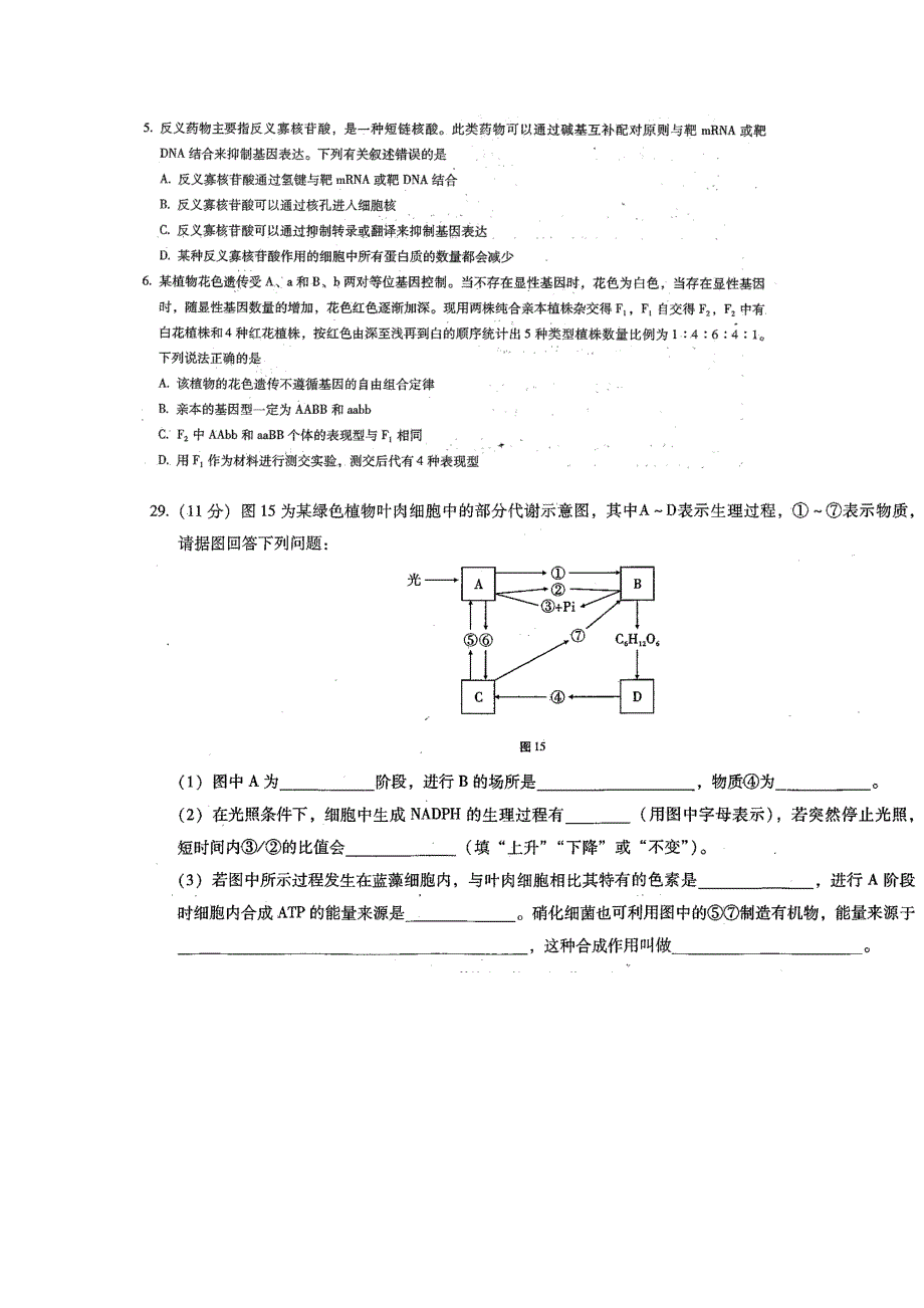 云南师大附中2016届高三上学期适应性月考卷（四）生物试题 扫描版含答案.doc_第2页