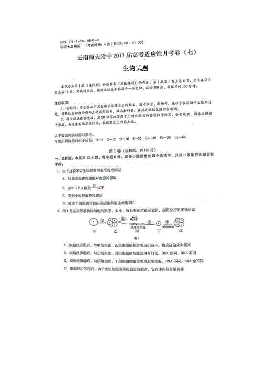 云南师大附中2013届高考适应性月考卷（七）理综生物 扫描版含答案.doc_第1页