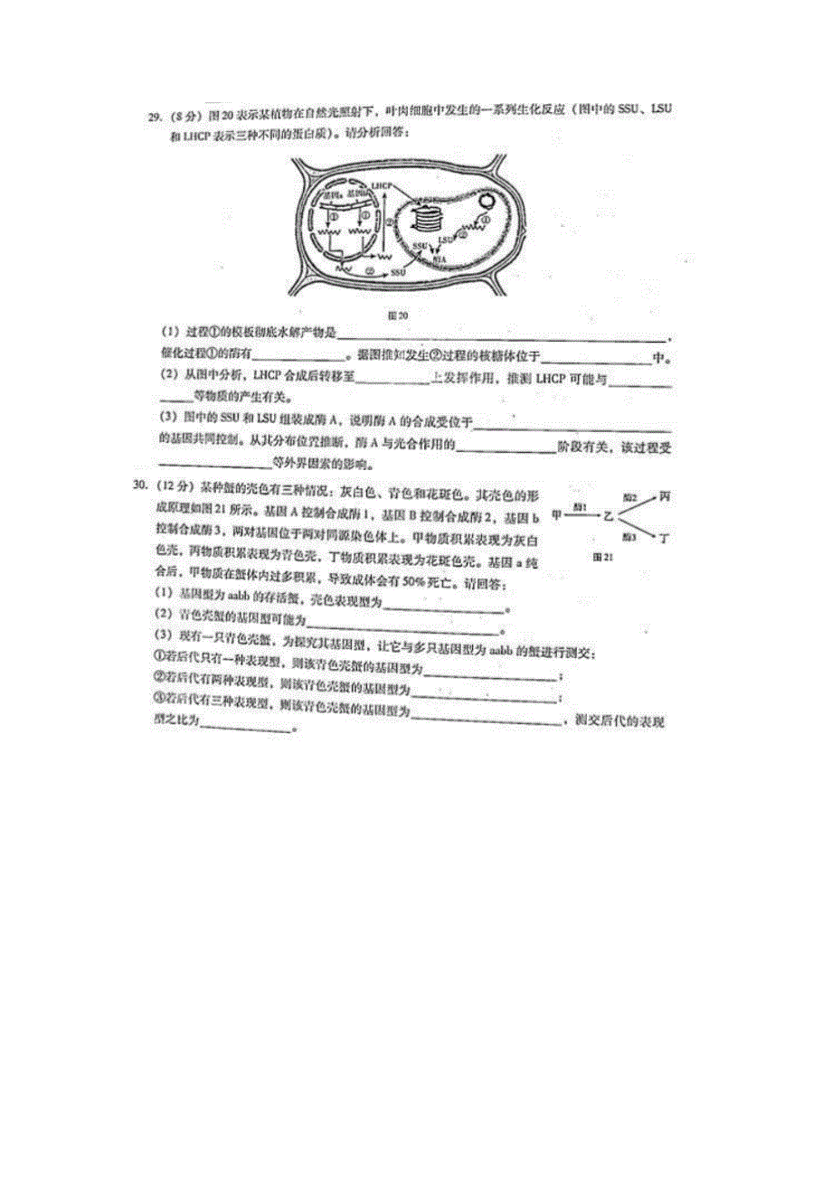 云南师大附中2013届高考适应性月考卷（七）理综生物 扫描版含答案.doc_第3页