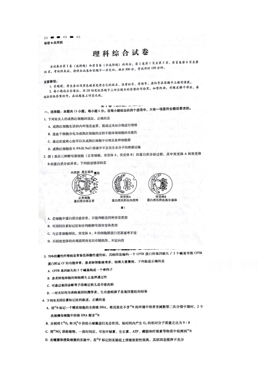 云南师大附中2017届高考适应性月考卷（七）理综生物 扫描版含答案.doc_第1页