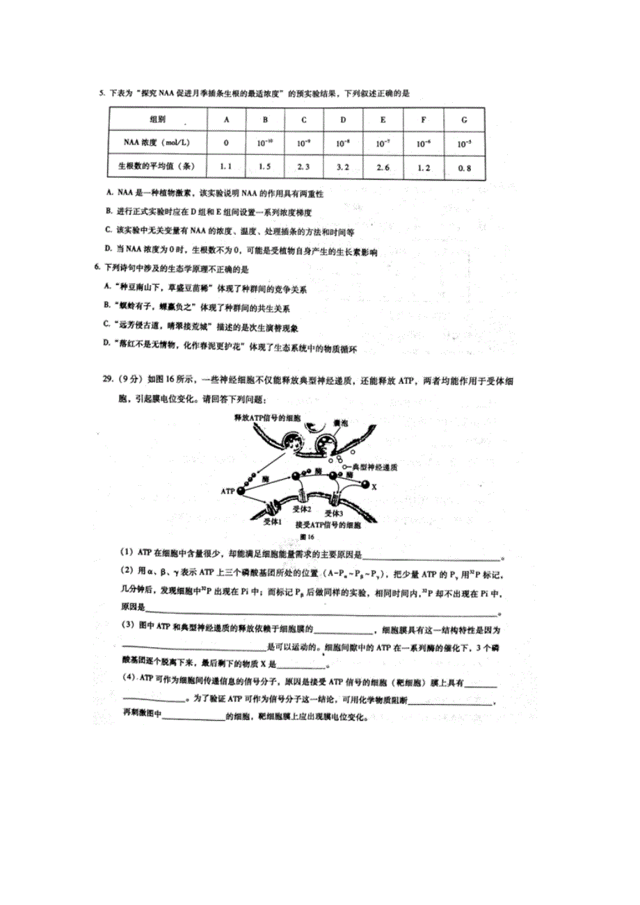 云南师大附中2017届高考适应性月考卷（七）理综生物 扫描版含答案.doc_第2页