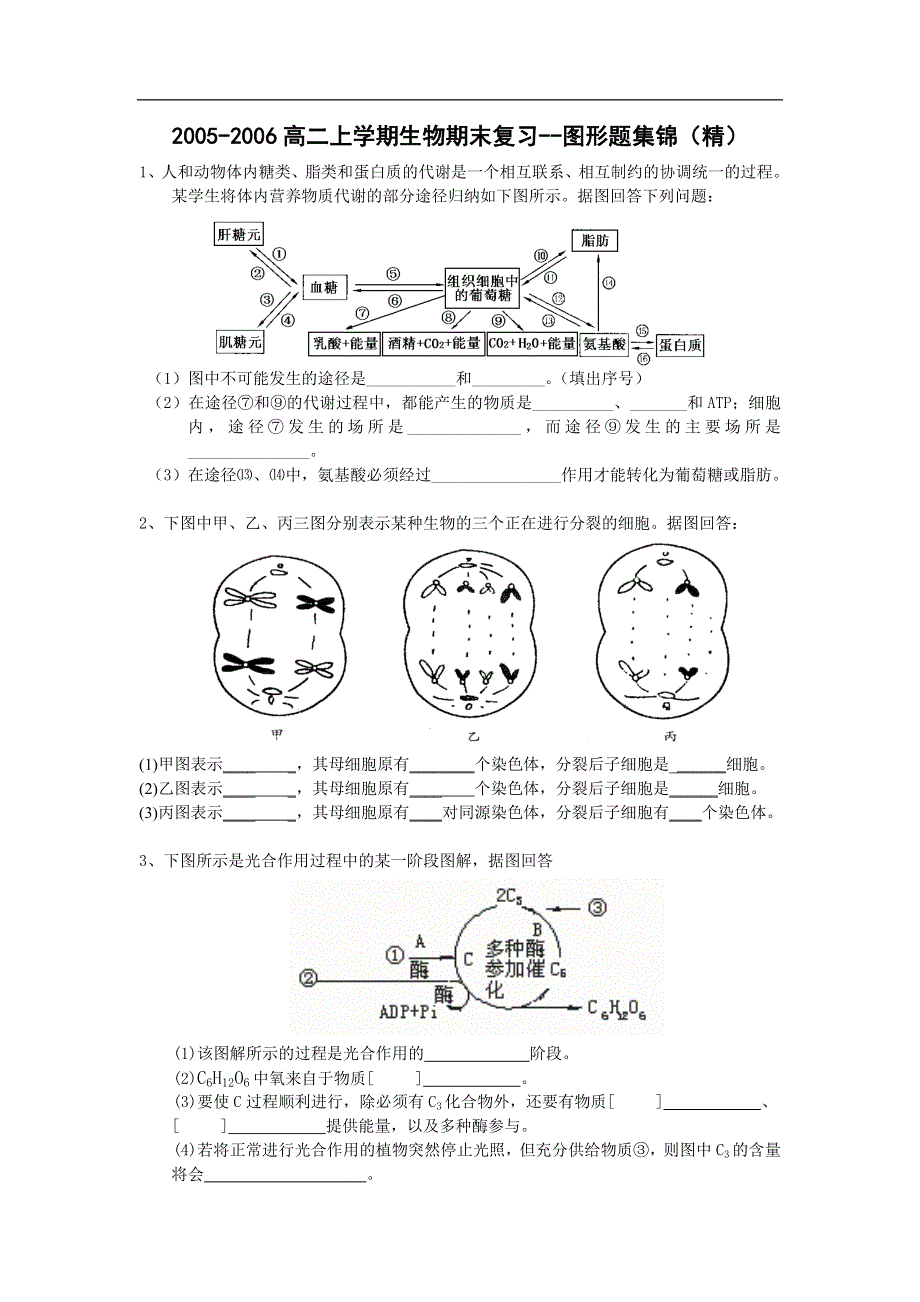 2005-2006高二上学期生物期末复习--图形题集锦.doc_第1页