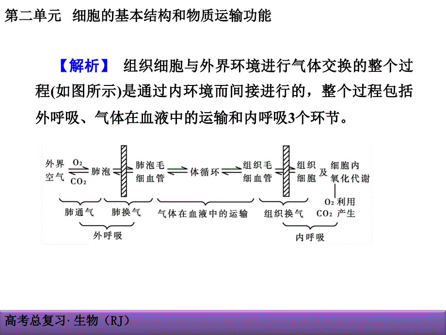 2015届《创新导学案》生物大一轮复习课件：单元综合提升2-第二单元 细胞的基本结构和物质运输功能.ppt_第3页